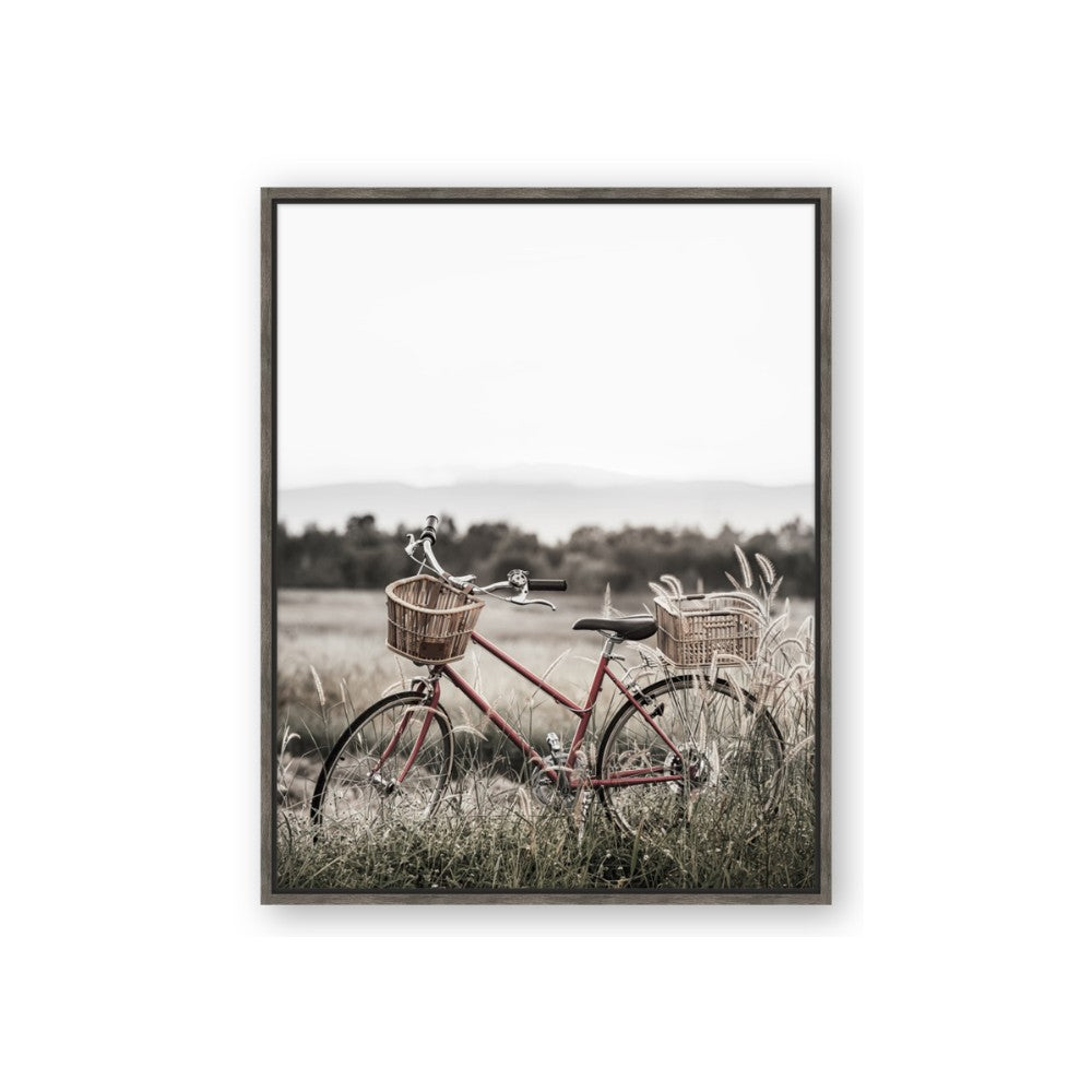 Bicycle Basket