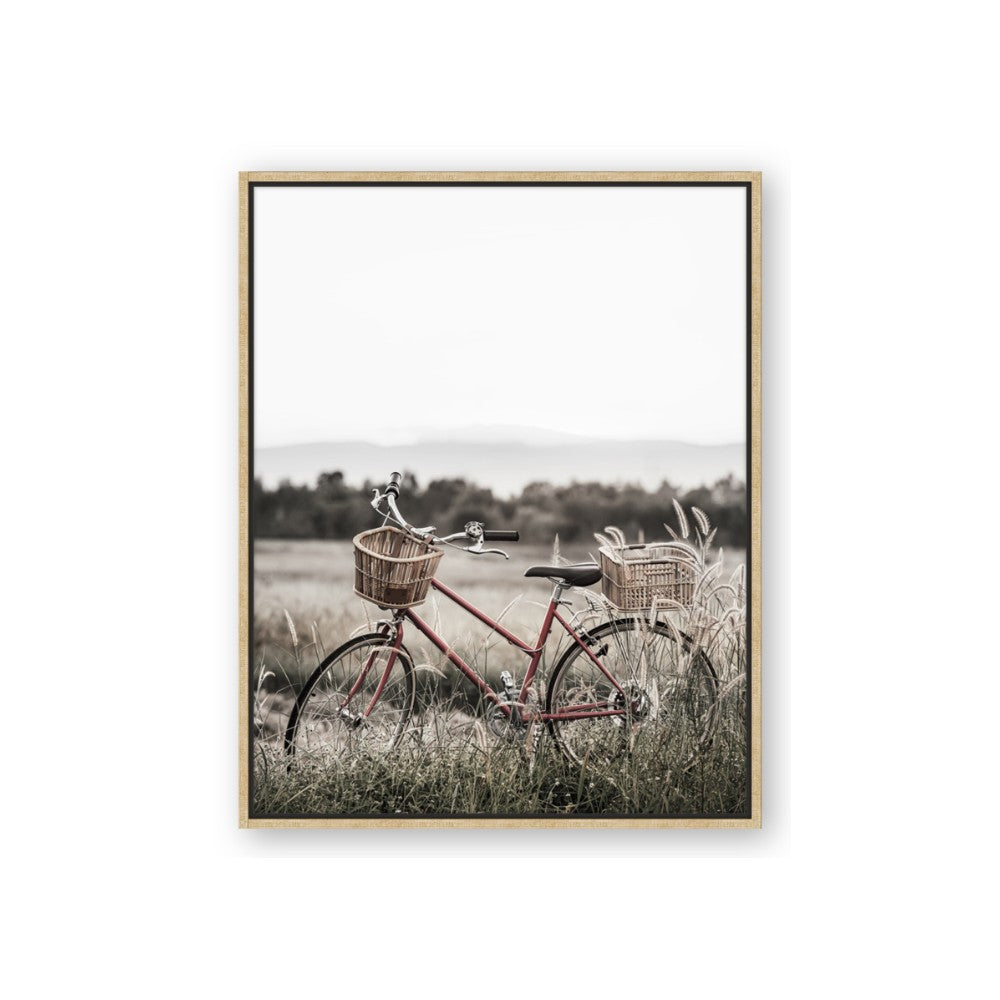 Bicycle Basket