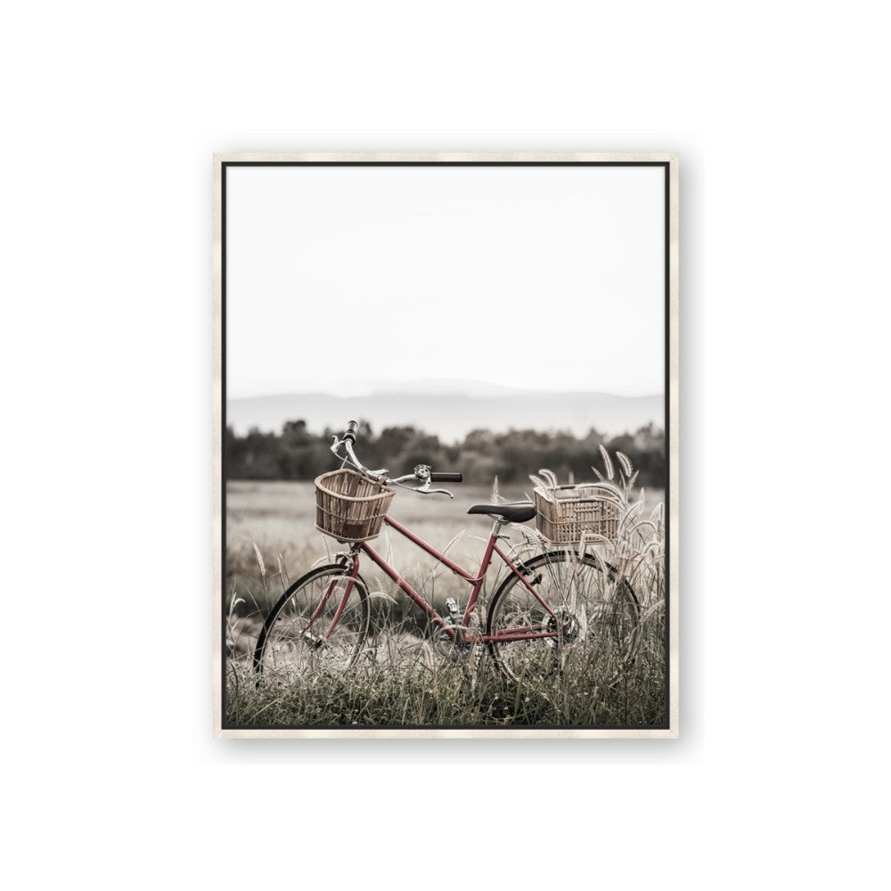 Bicycle Basket