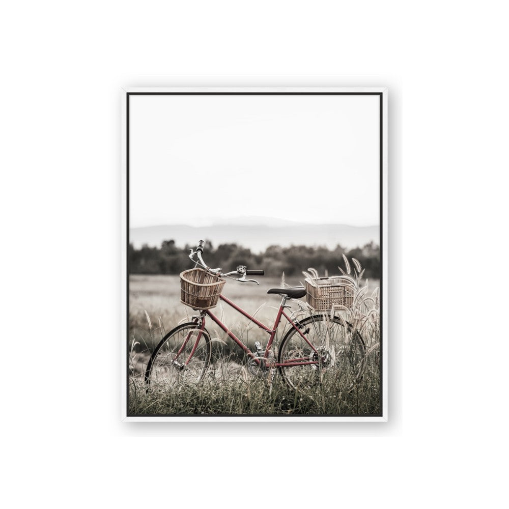 Bicycle Basket