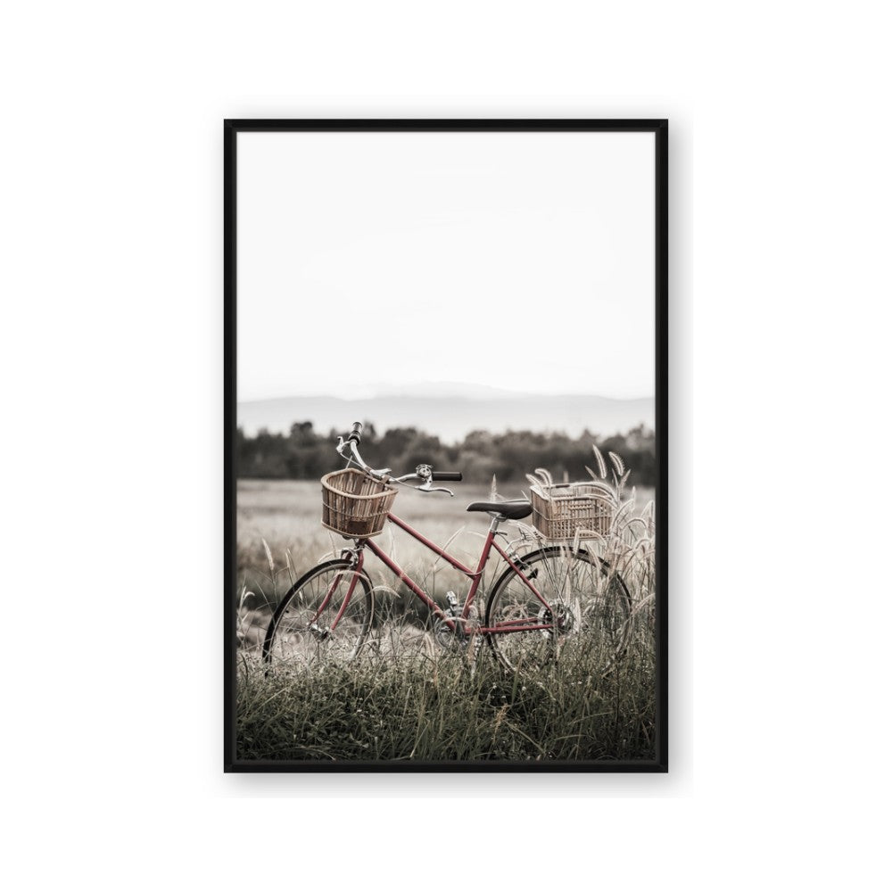 Bicycle Basket