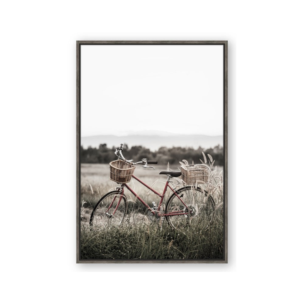 Bicycle Basket
