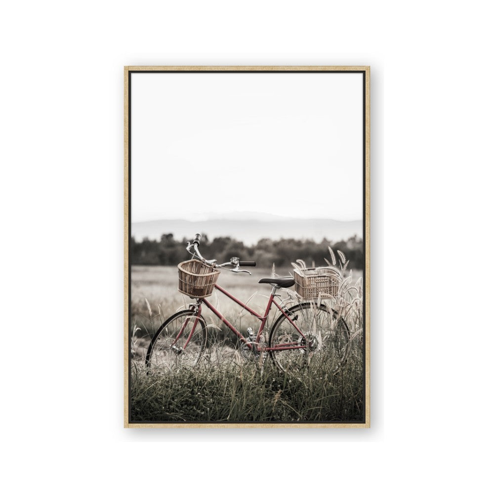Bicycle Basket
