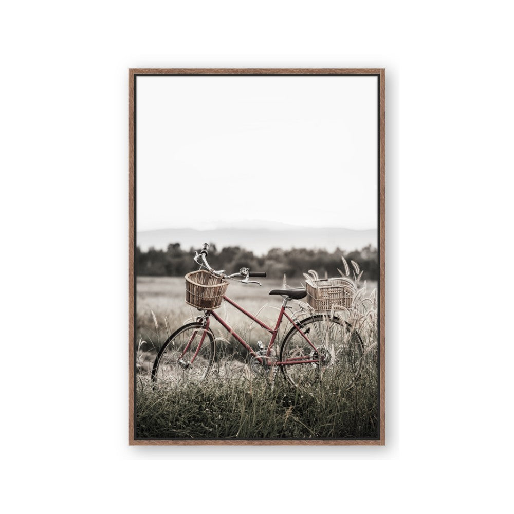 Bicycle Basket