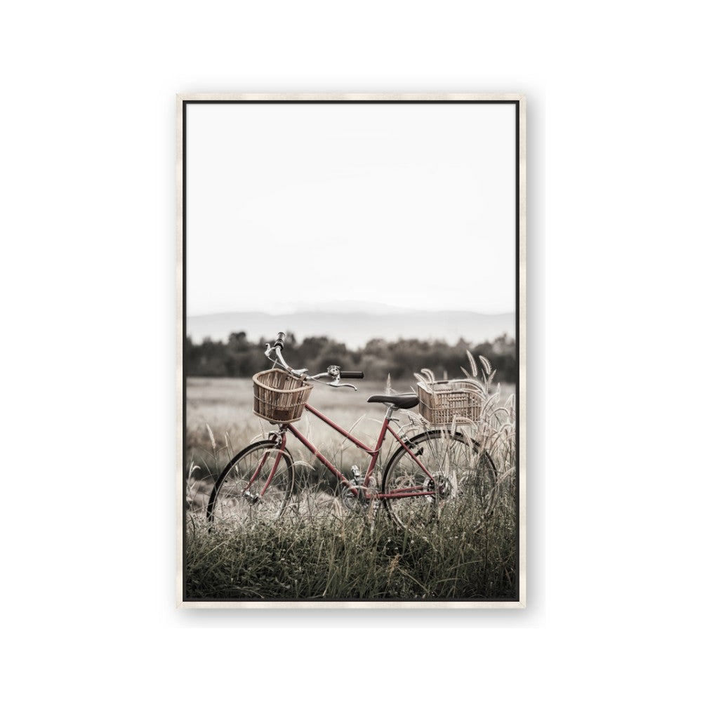 Bicycle Basket