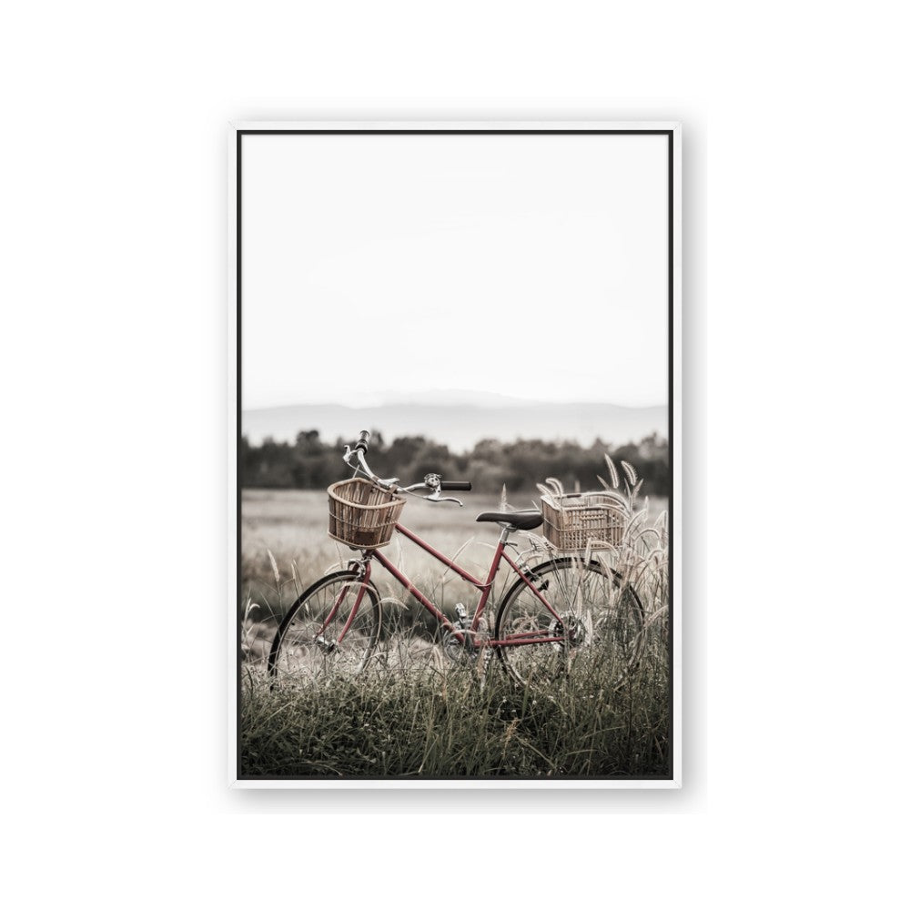 Bicycle Basket