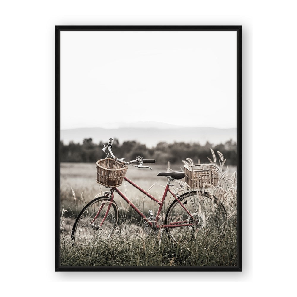 Bicycle Basket