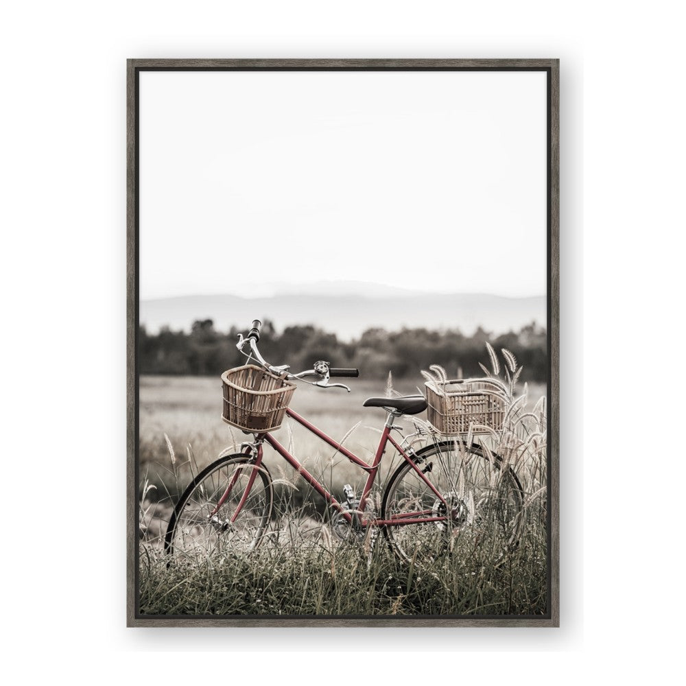 Bicycle Basket