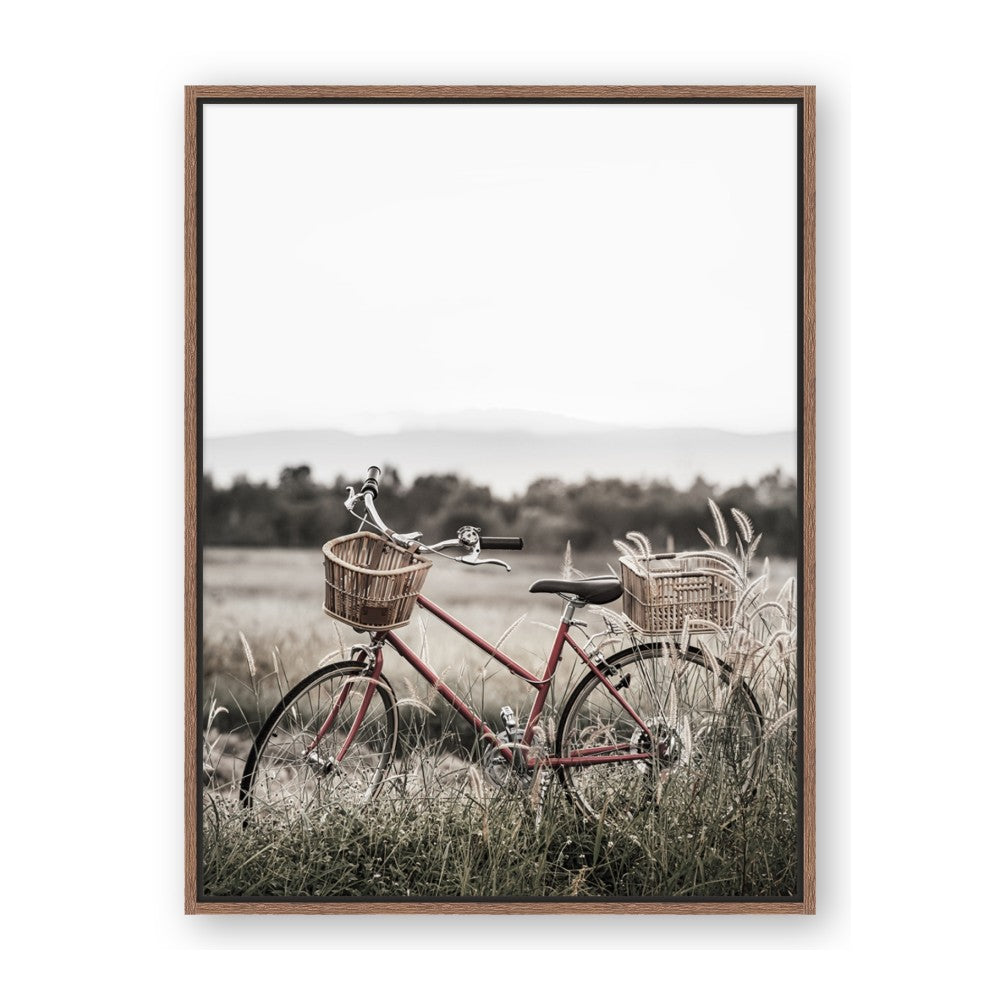 Bicycle Basket