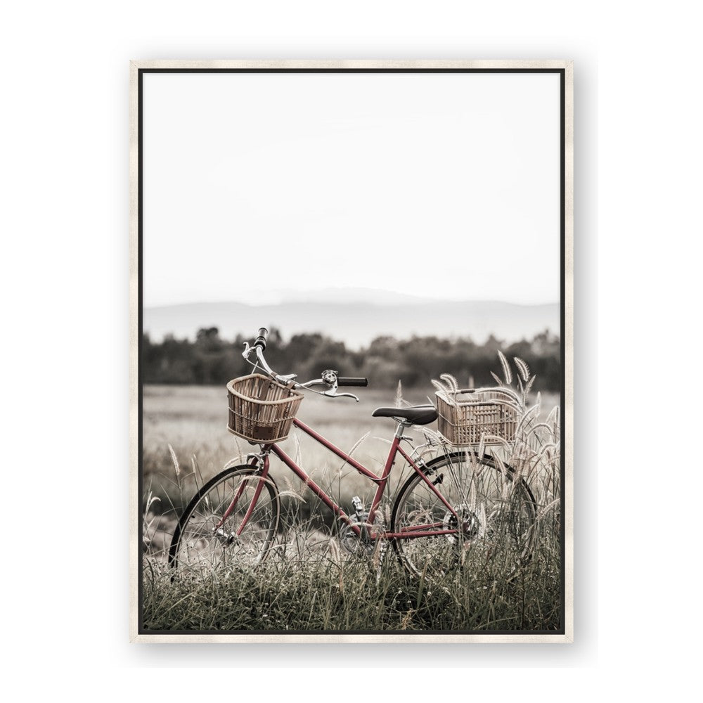 Bicycle Basket
