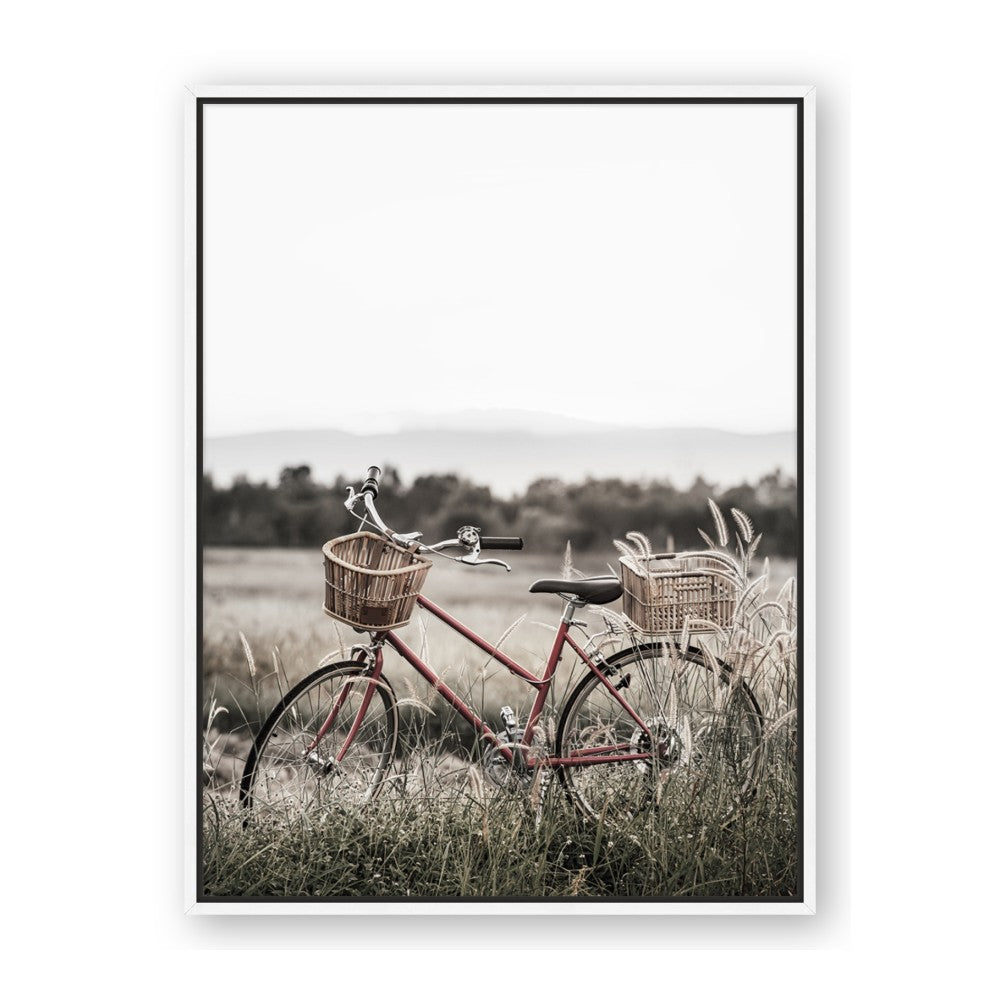 Bicycle Basket
