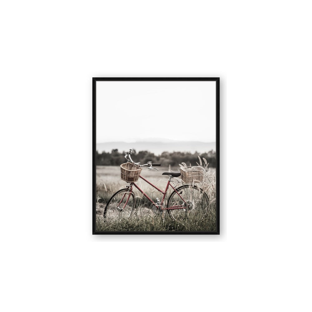 Bicycle Basket