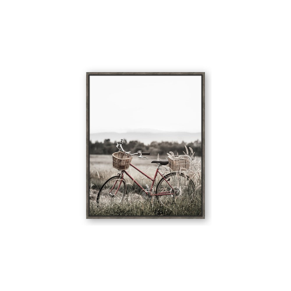 Bicycle Basket