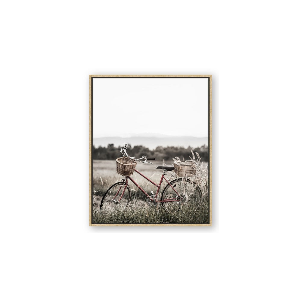 Bicycle Basket