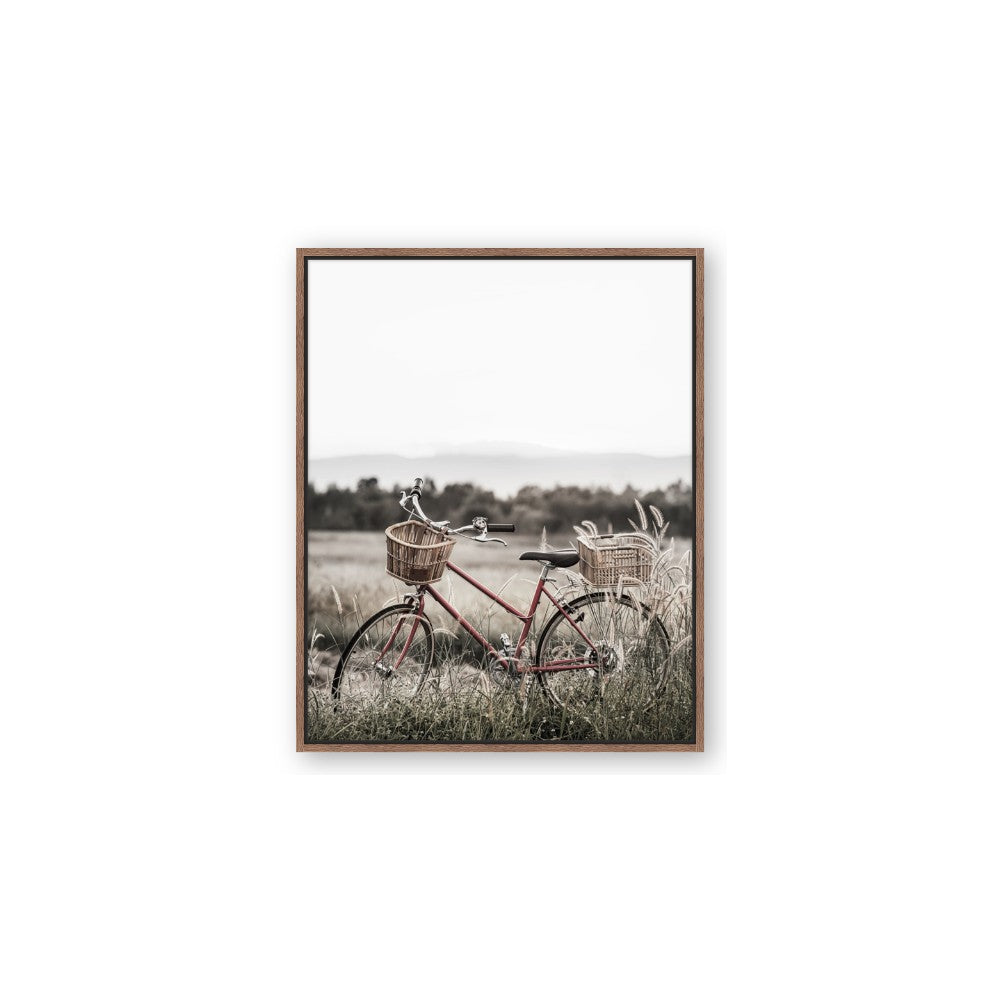 Bicycle Basket