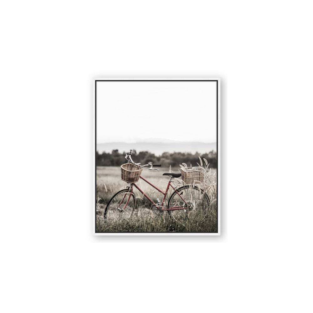 Bicycle Basket