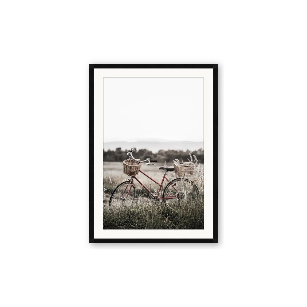 Bicycle Basket