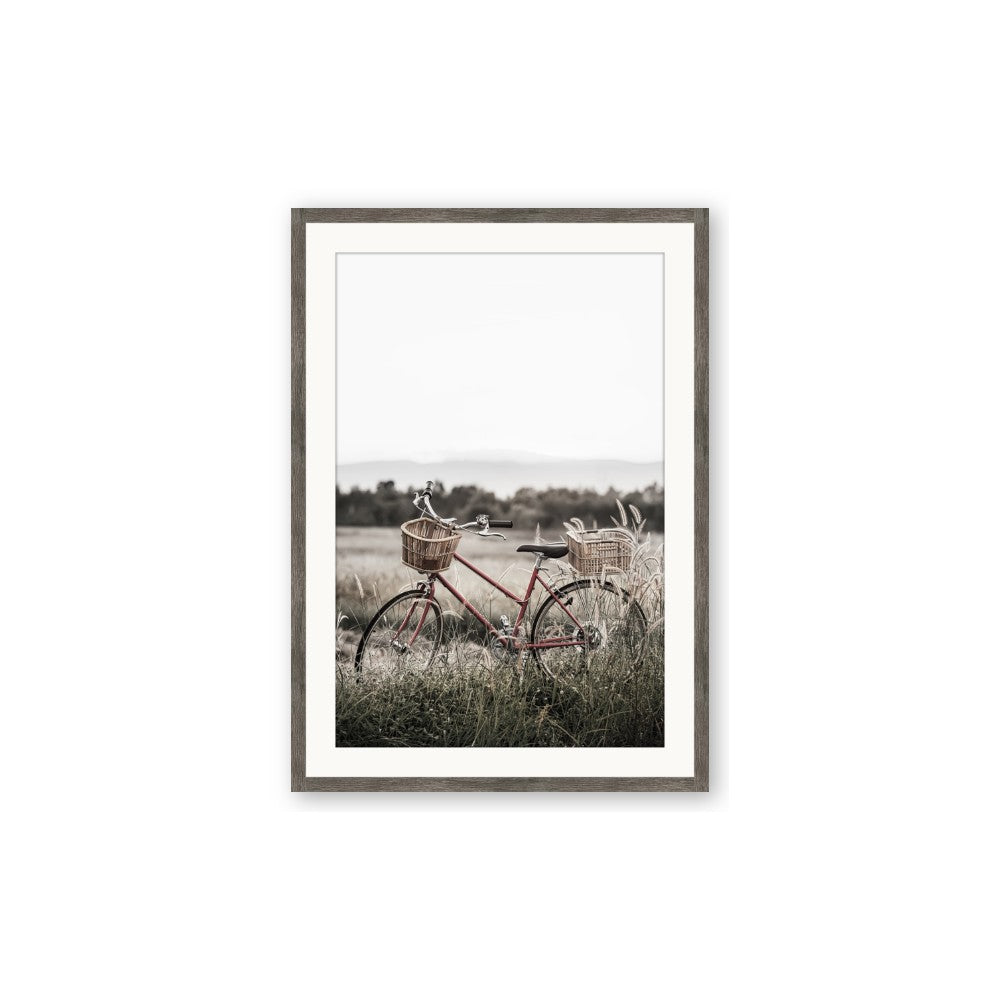 Bicycle Basket