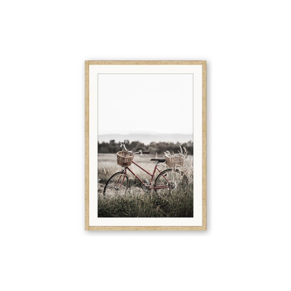 Bicycle Basket