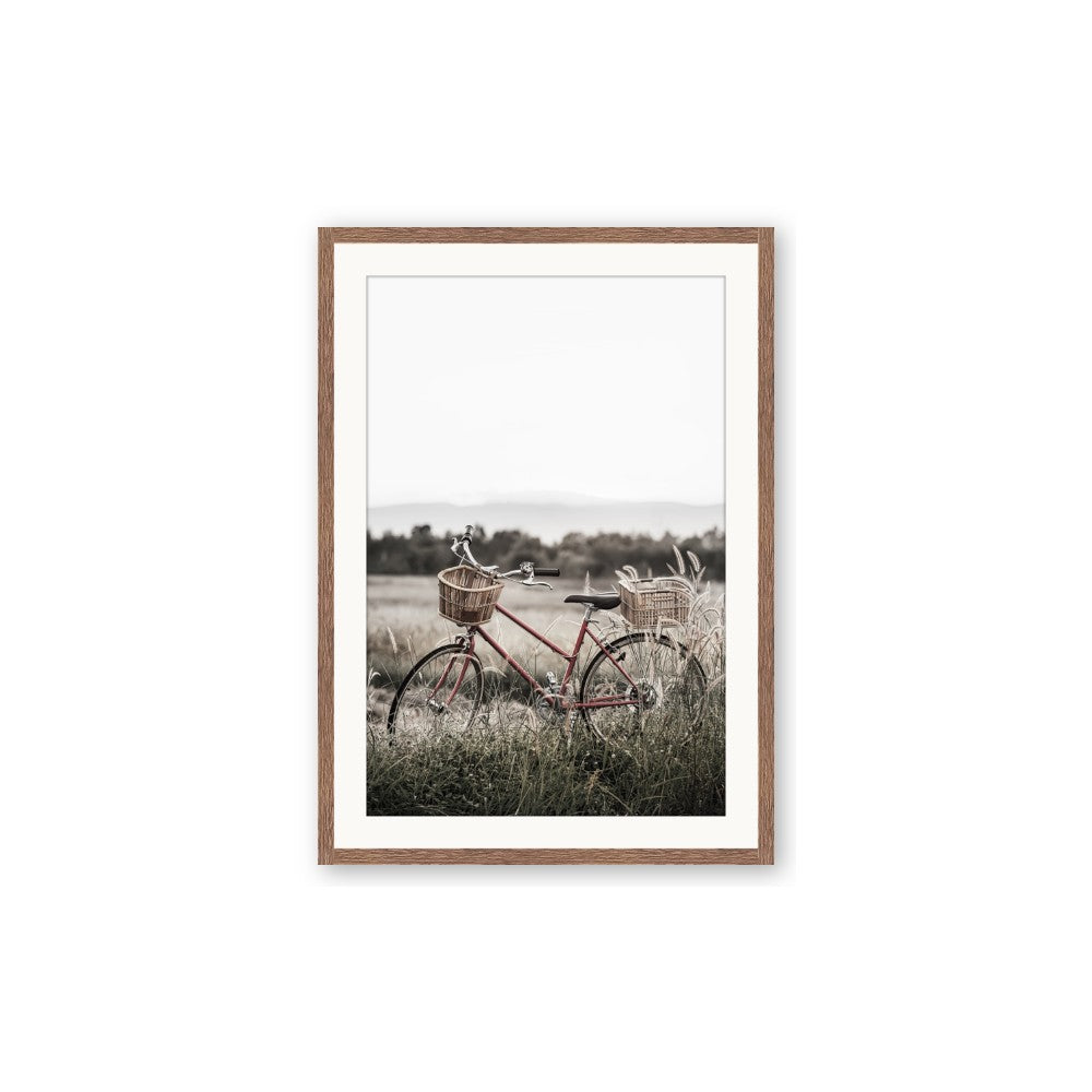Bicycle Basket