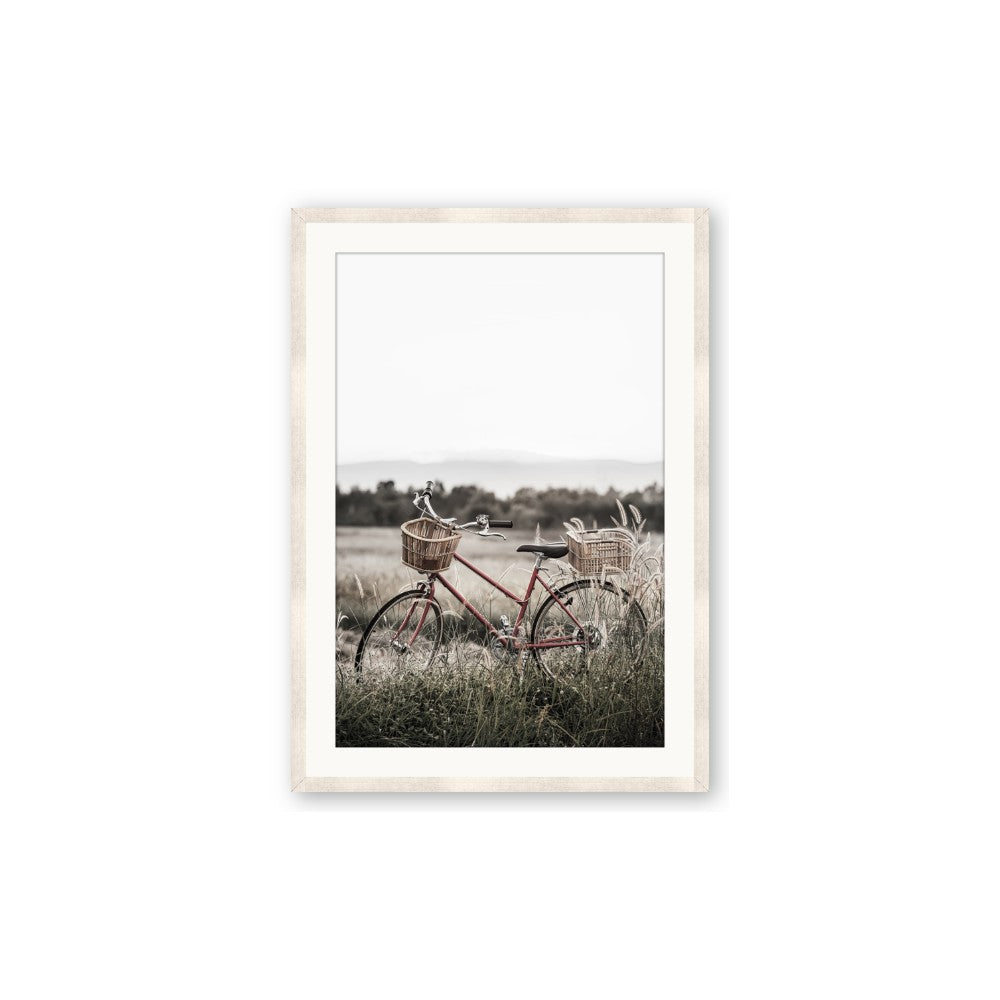 Bicycle Basket