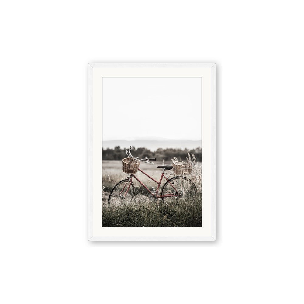 Bicycle Basket