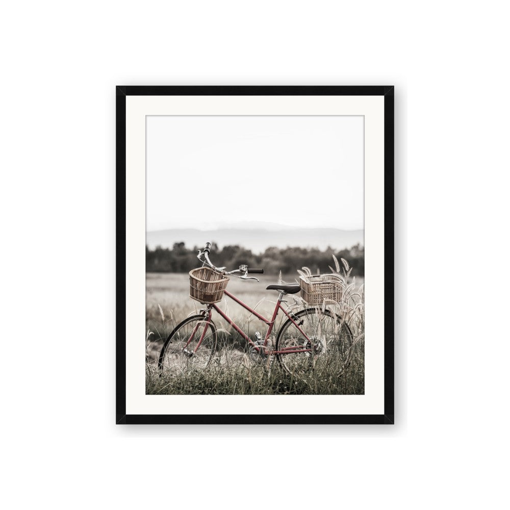 Bicycle Basket