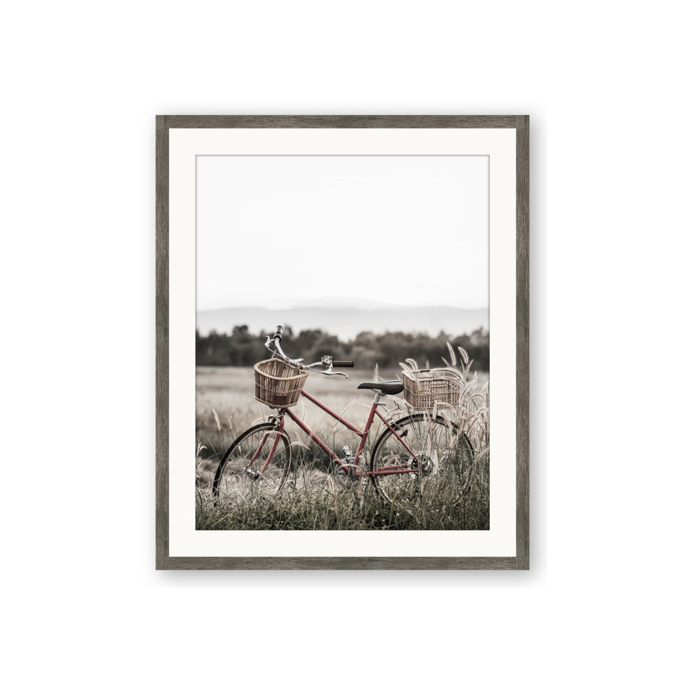 Bicycle Basket