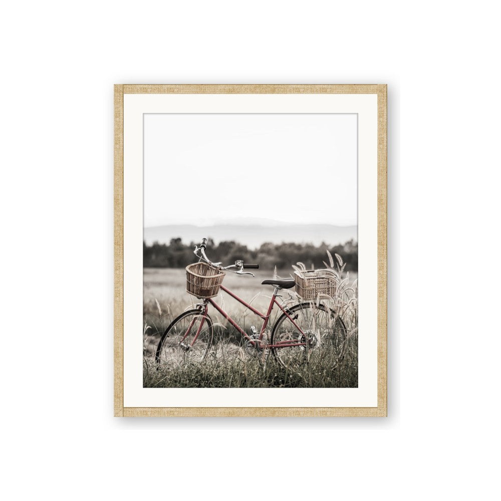 Bicycle Basket