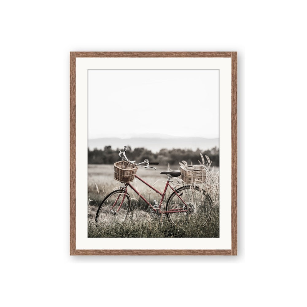 Bicycle Basket