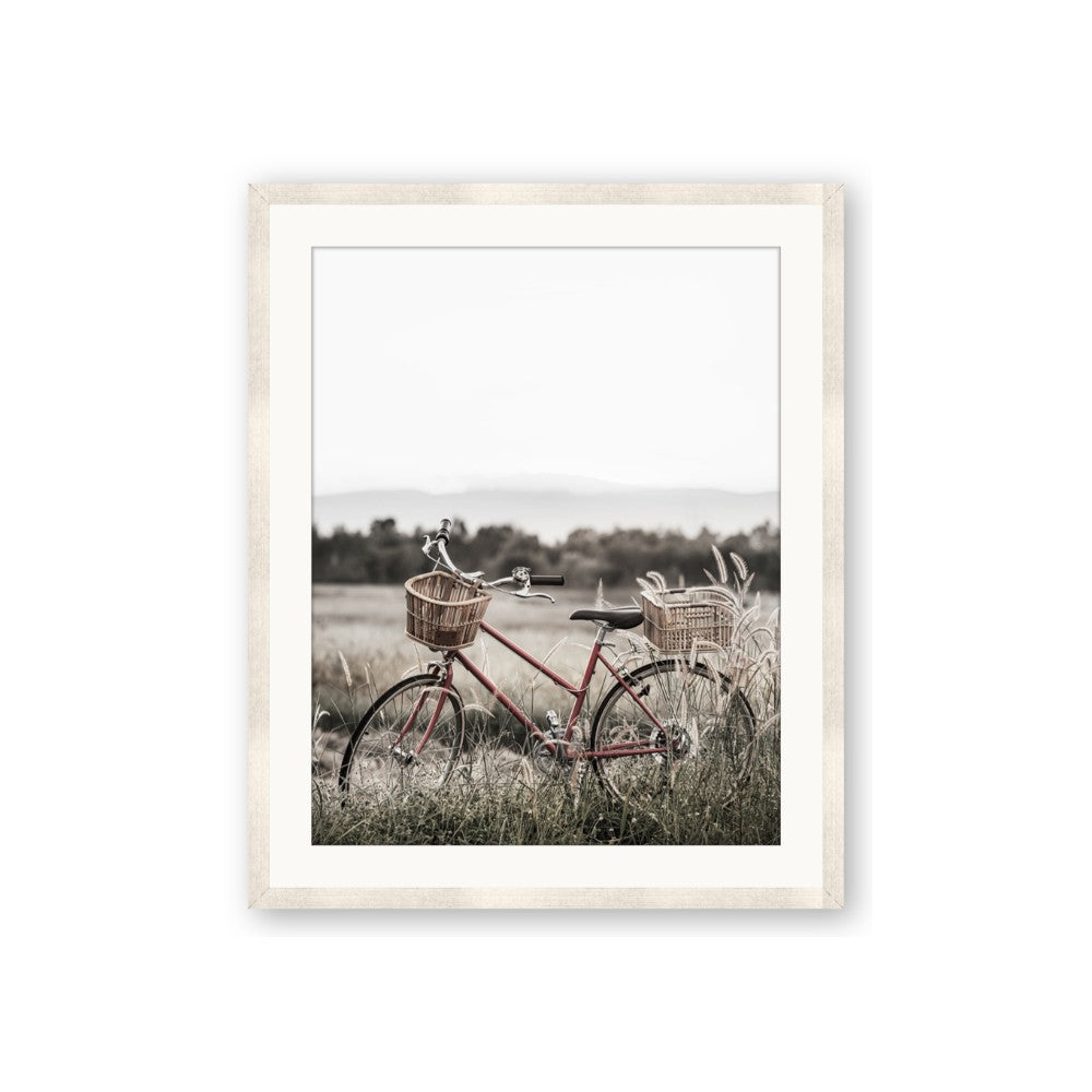 Bicycle Basket