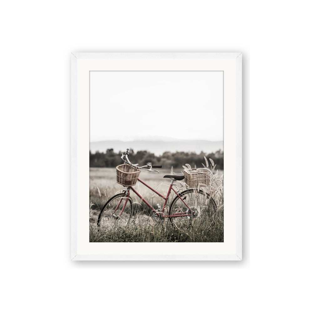 Bicycle Basket