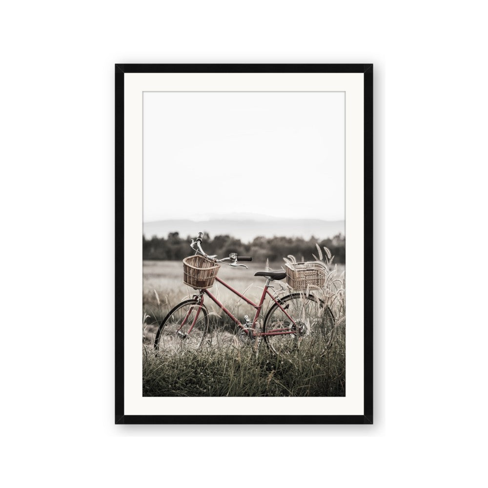 Bicycle Basket