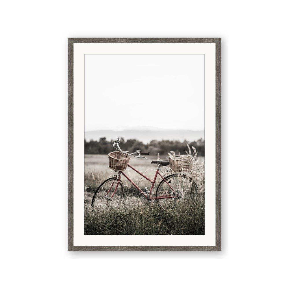 Bicycle Basket