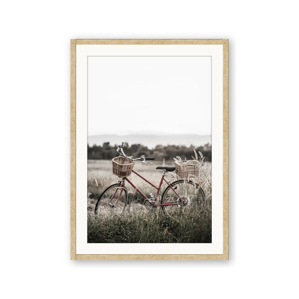 Bicycle Basket