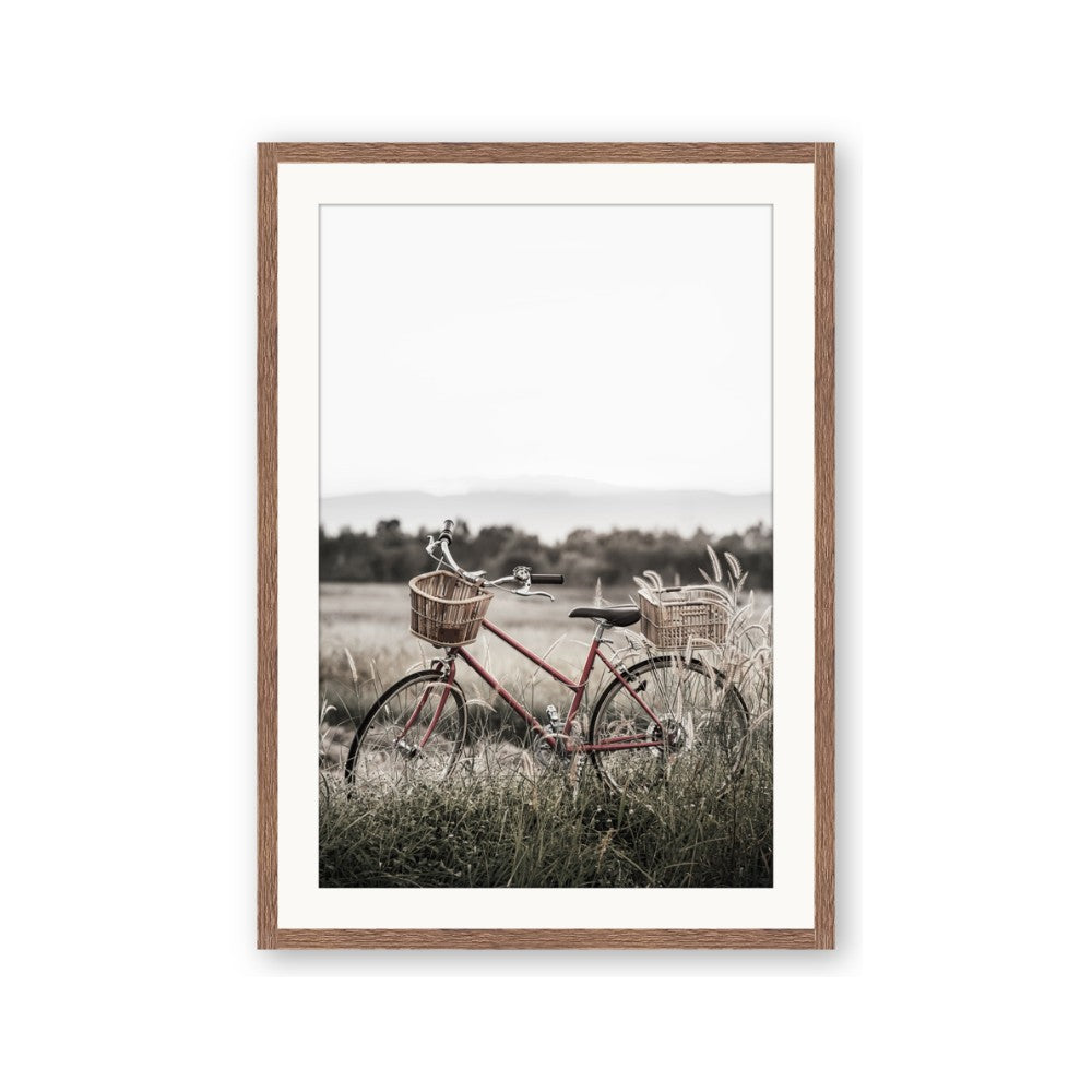 Bicycle Basket