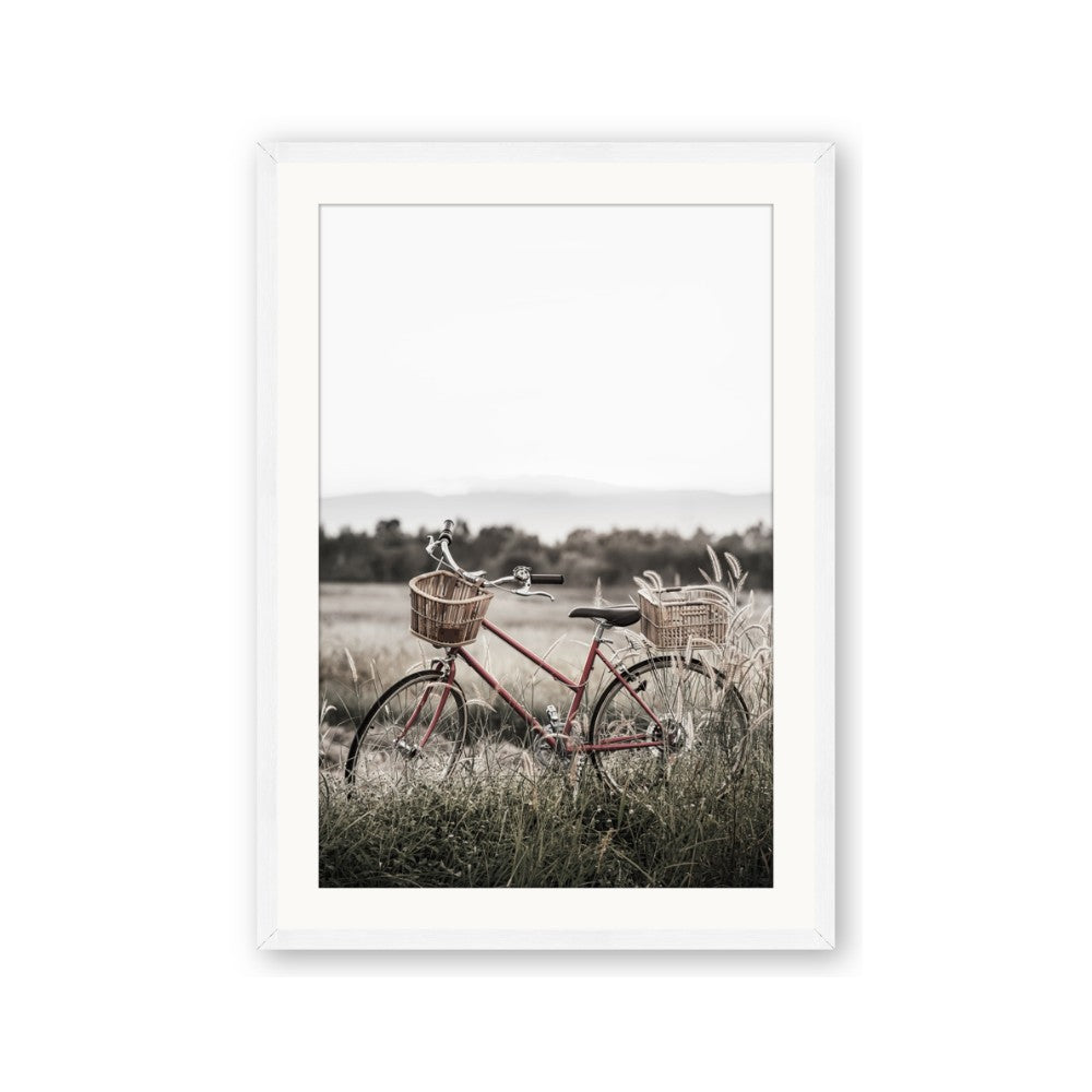 Bicycle Basket