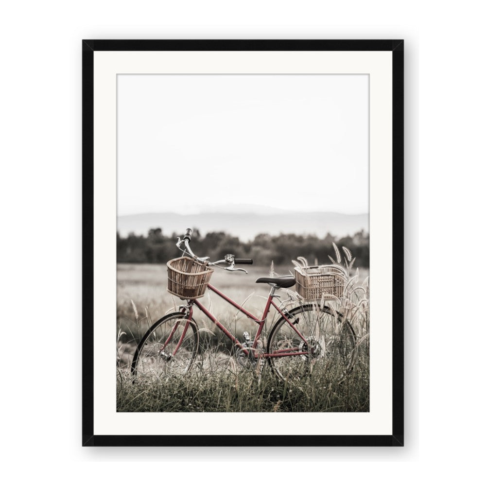 Bicycle Basket