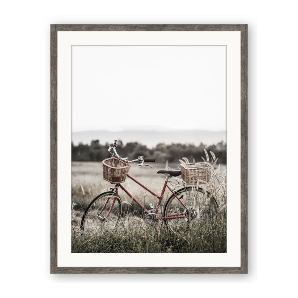 Bicycle Basket