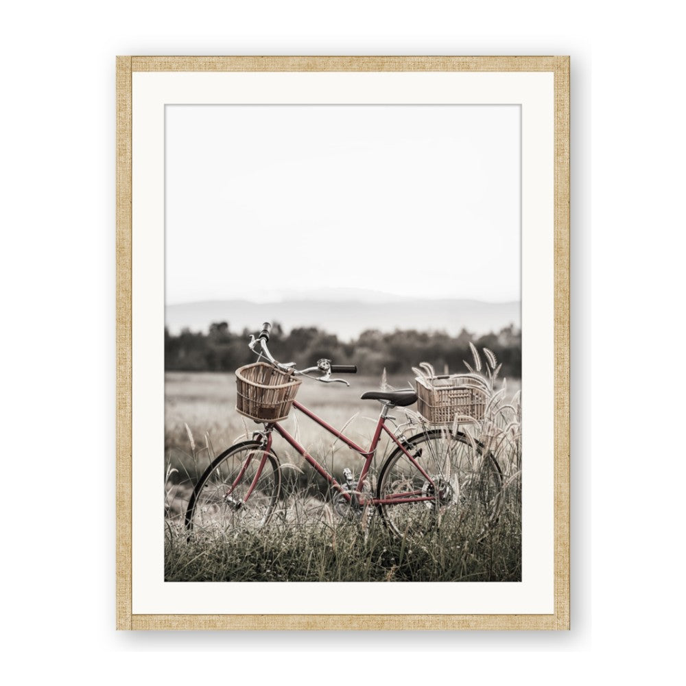 Bicycle Basket