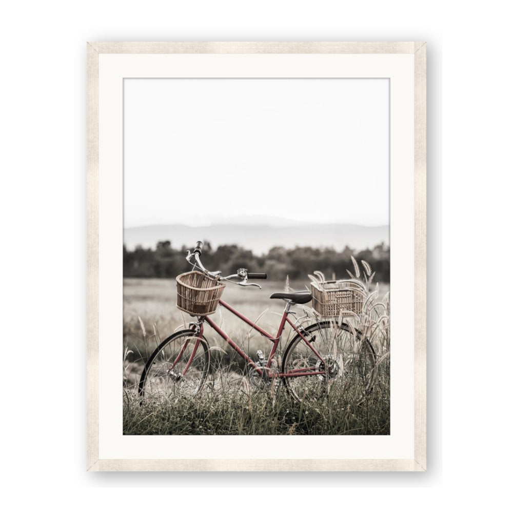 Bicycle Basket