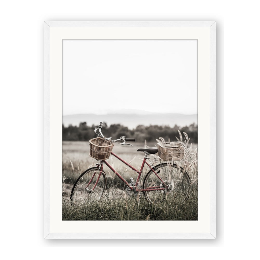 Bicycle Basket