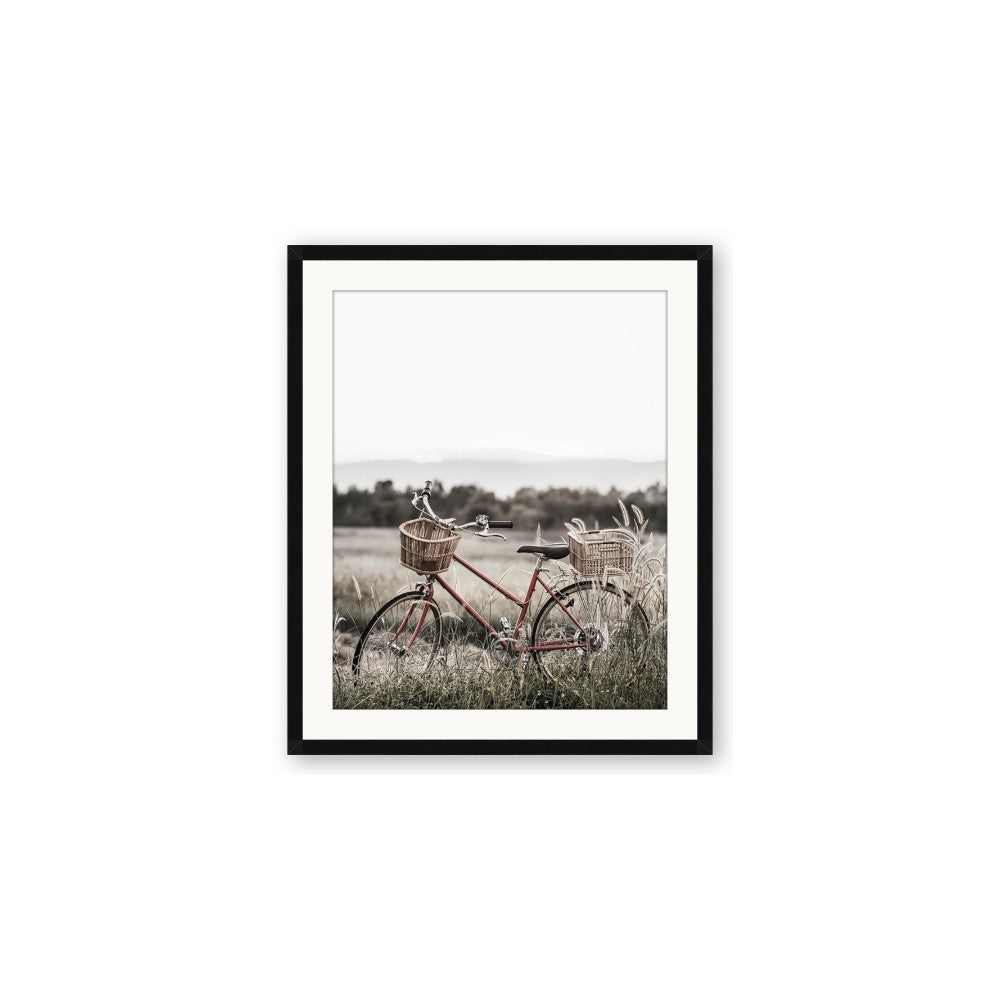 Bicycle Basket
