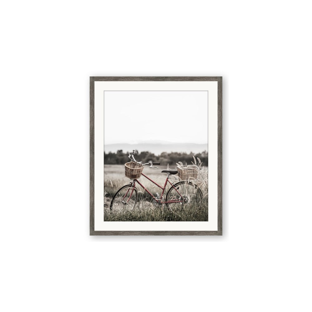 Bicycle Basket