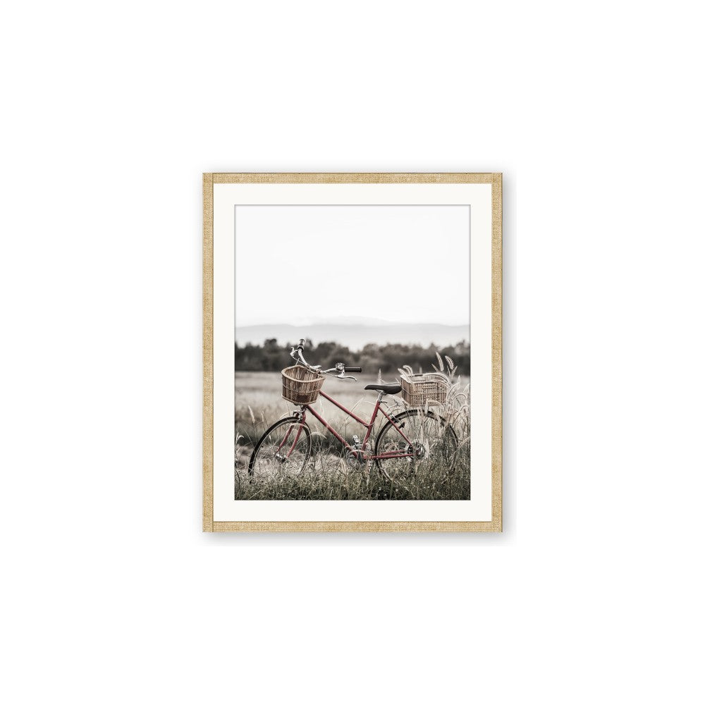 Bicycle Basket