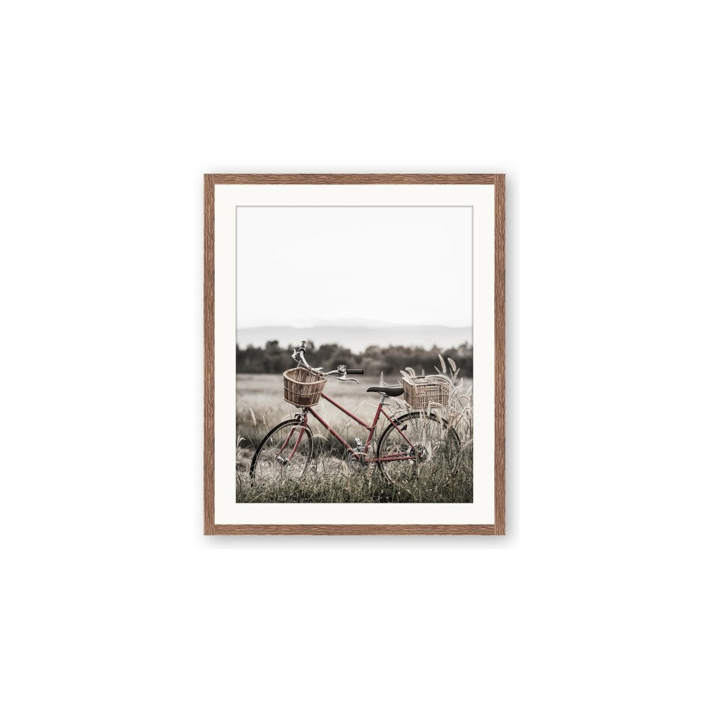 Bicycle Basket