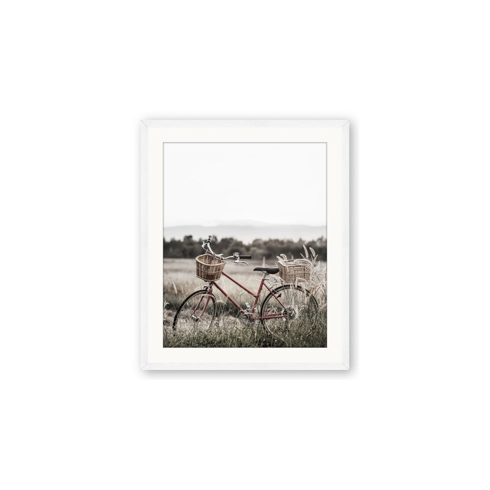 Bicycle Basket