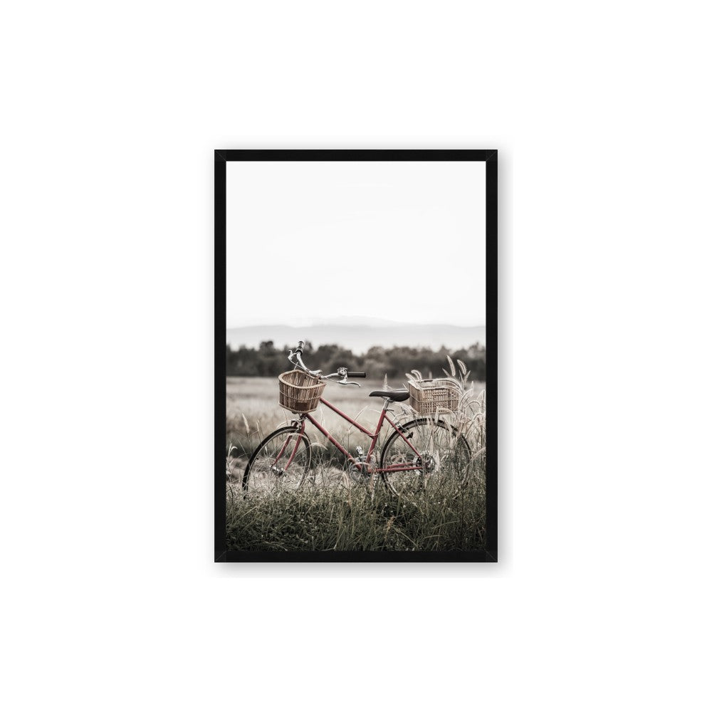 Bicycle Basket