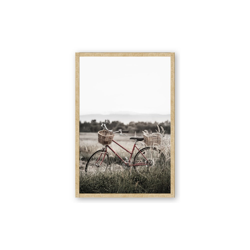 Bicycle Basket