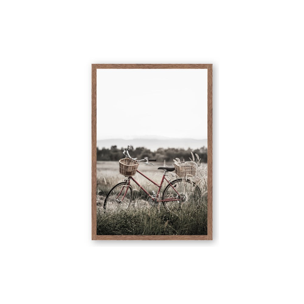 Bicycle Basket